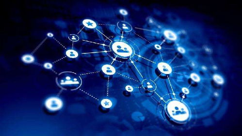 攜手共贏 種植戶(hù)與水溶肥生產(chǎn)廠家技術(shù)合作的新趨勢(shì)